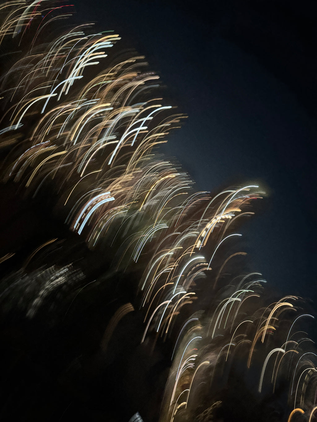 WheatGrass, Limited Edition Photo Print