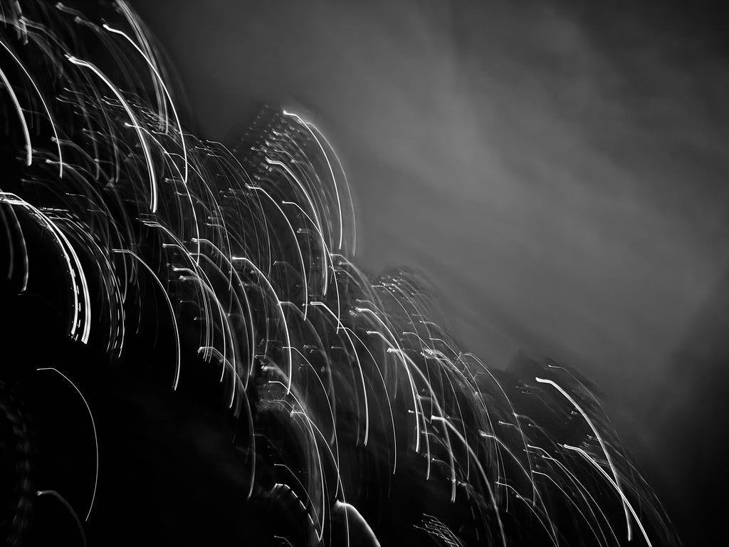 WaterReeds, Limited Edition Print