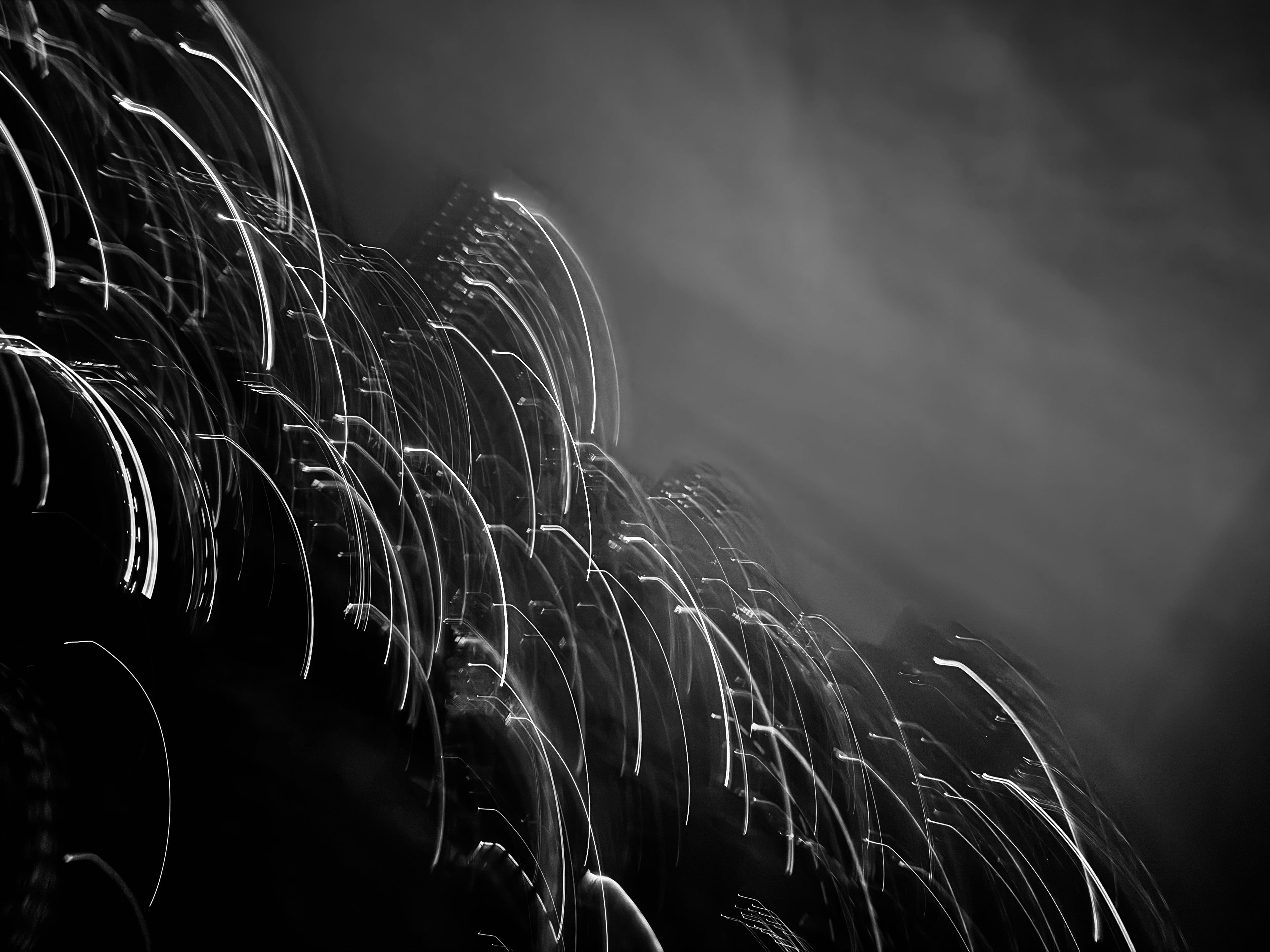 WaterReeds, Limited Edition Print