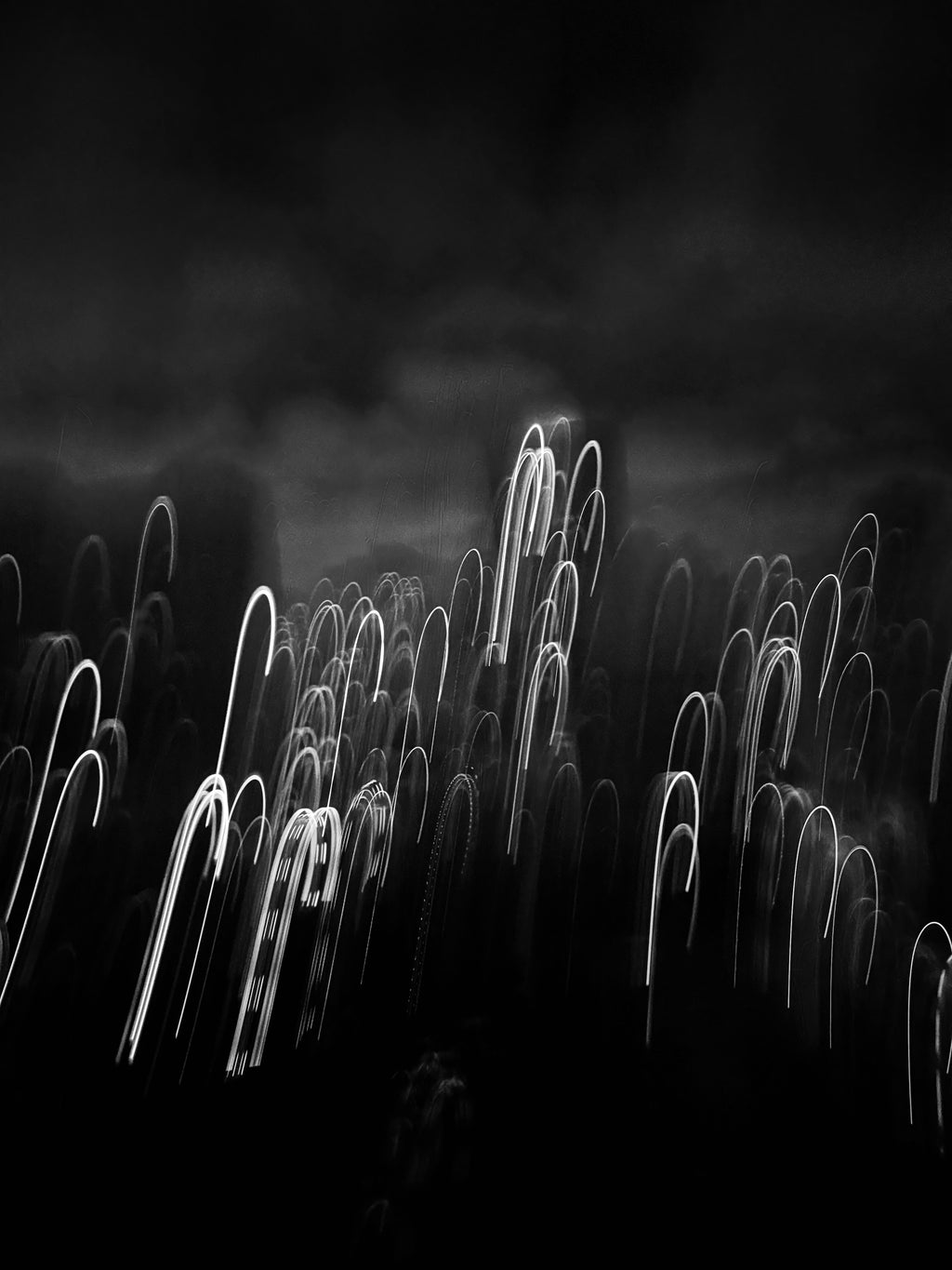 FacingStorm, Limited Edition Print